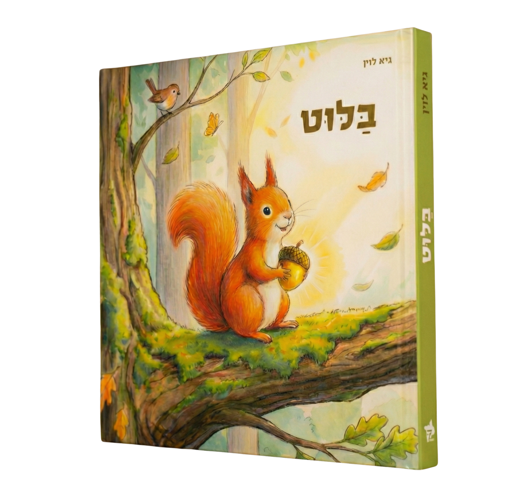ספר בלוט – מבט בזווית ללא רקע