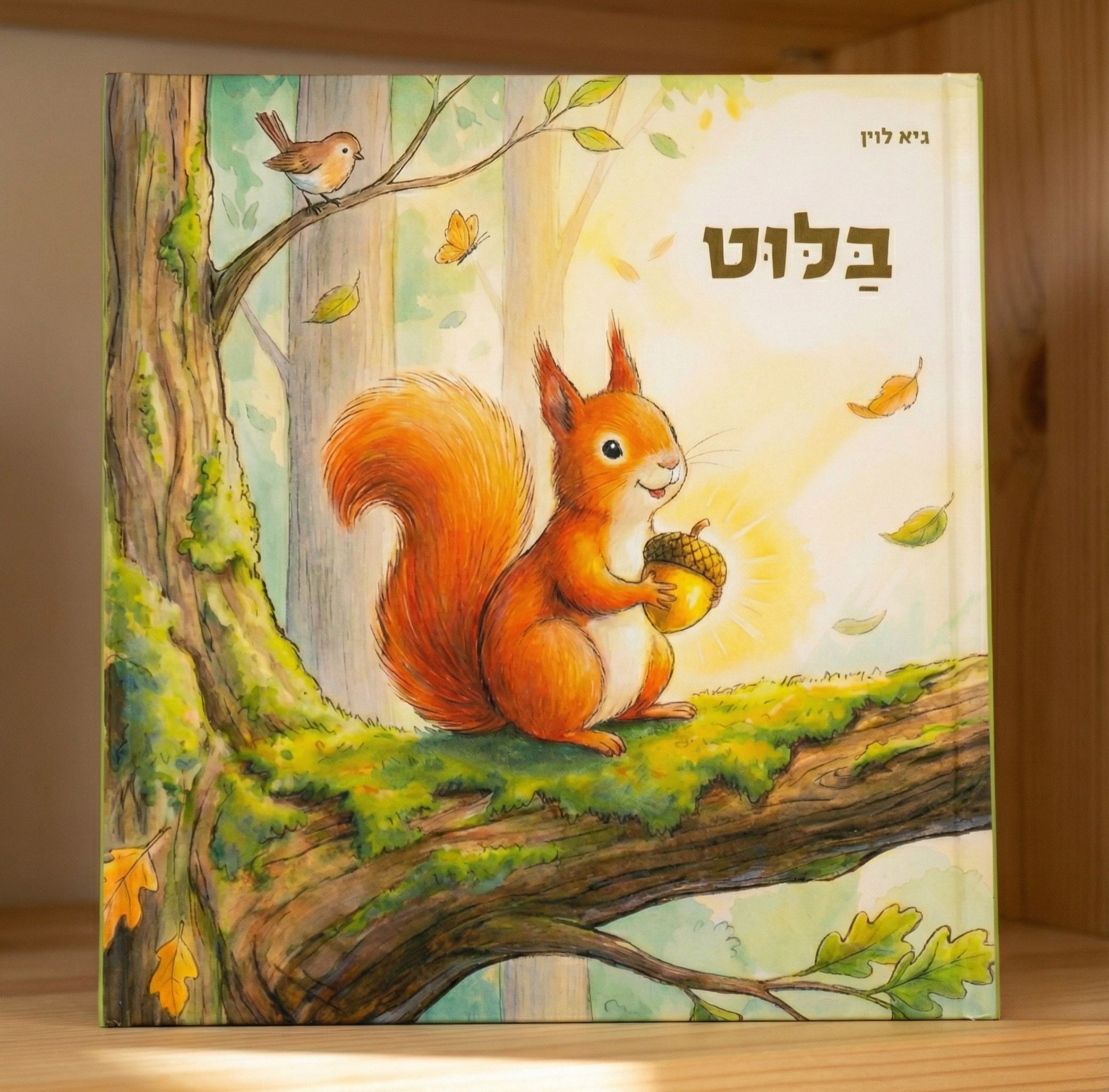 ספר בלוט – מבט קדמי
