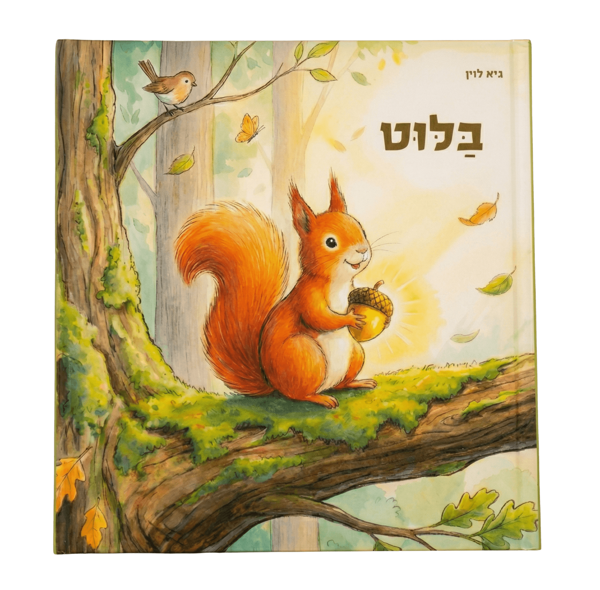 ספר בלוט – מבט קדמי ללא רקע